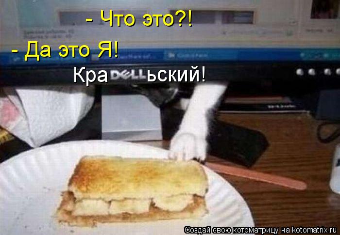 Котоматрица: - Что это?!  - Да это Я! Кра ьский!