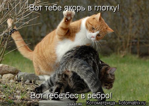 Котоматрица: Вот тебе якорь в глотку! Вот тебе бес в ребро!
