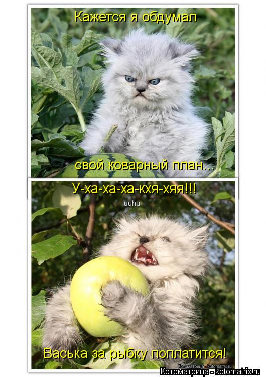 Котоматрица: Кажется я обдумал свой коварный план... У-ха-ха-ха-кхя-хяя!!! Васька за рыбку поплатится!