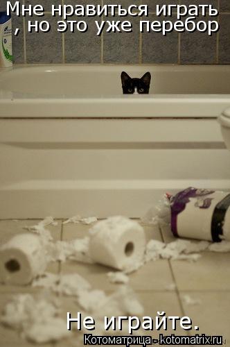 Котоматрица: Мне нравиться играть , но это уже перебор Не играйте.
