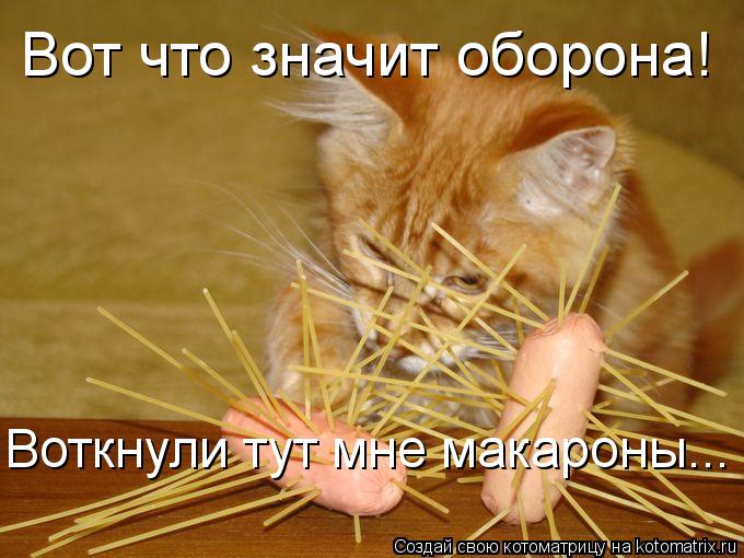 Котоматрица: Вот что значит оборона!  Воткнули тут мне макароны...