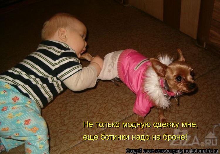 Котоматрица: Не только модную одежку мне, еще ботинки надо на броне!
