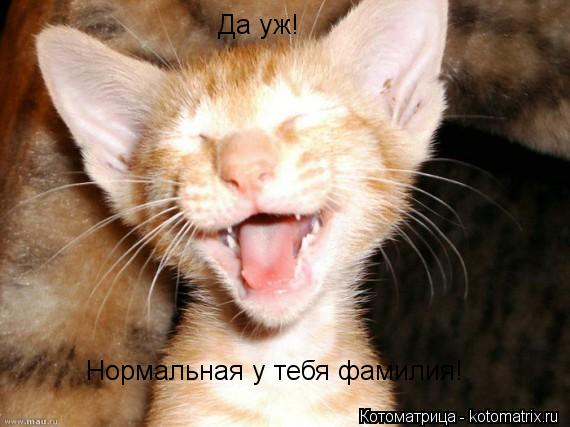 Да уж! Нормальная у тебя фамилия!... Котоматрица: Да уж! Нормальная у тебя фамилия!