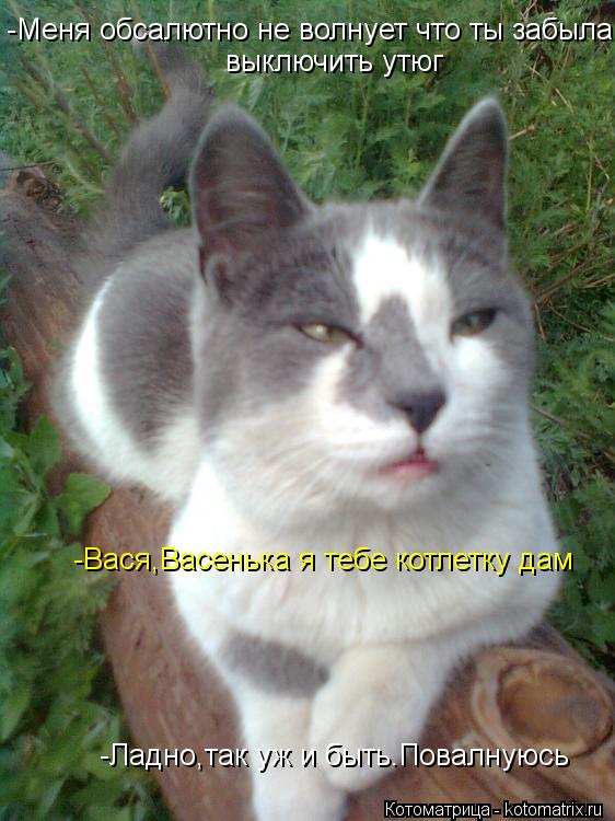 Котоматрица: -Меня обсалютно не волнует что ты забыла выключить утюг выключить утюг -Вася,Васенька я тебе котлетку дам -Ладно,так уж и быть.Повалнуюсь