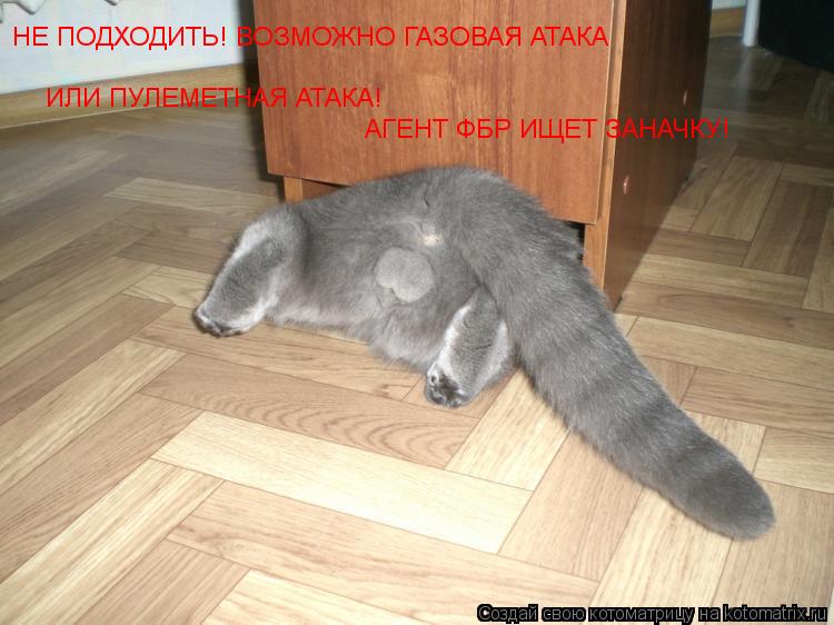 Котоматрица: НЕ ПОДХОДИТЬ! ВОЗМОЖНО ГАЗОВАЯ АТАКА  ИЛИ ПУЛЕМЕТНАЯ АТАКА! АГЕНТ ФБР ИЩЕТ ЗАНАЧКУ!