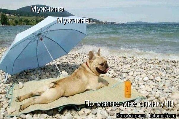 Котоматрица: Мужчина Мужчина По мажте мне спинку!!!!