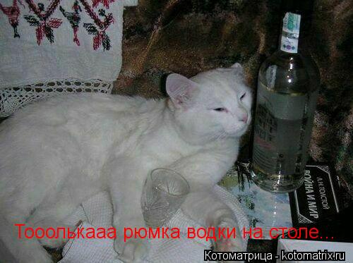 Котоматрица: Тооолькааа рюмка водки на столе...