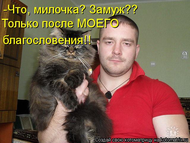 Котоматрица: -Что, милочка? Замуж?? Только после МОЕГО благословения!!