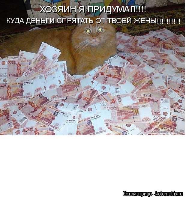 Котоматрица: ХОЗЯИН Я ПРИДУМАЛ!!!!  КУДА ДЕНЬГИ СПРЯТАТЬ ОТ ТВОЕЙ ЖЕНЫ !!!!!!!!!!
