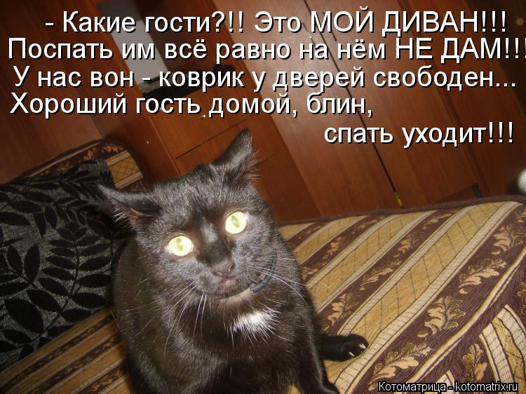 Котоматрица: - Какие гости?!! Это МОЙ ДИВАН!!! Поспать им всё равно на нём НЕ ДАМ!!! У нас вон - коврик у дверей свободен... Хороший гость домой, блин,  спать ухо