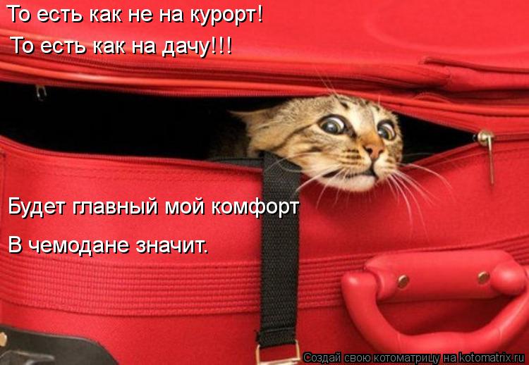 Котоматрица: То есть как не на курорт! То есть как на дачу!!! Будет главный мой комфорт В чемодане значит.