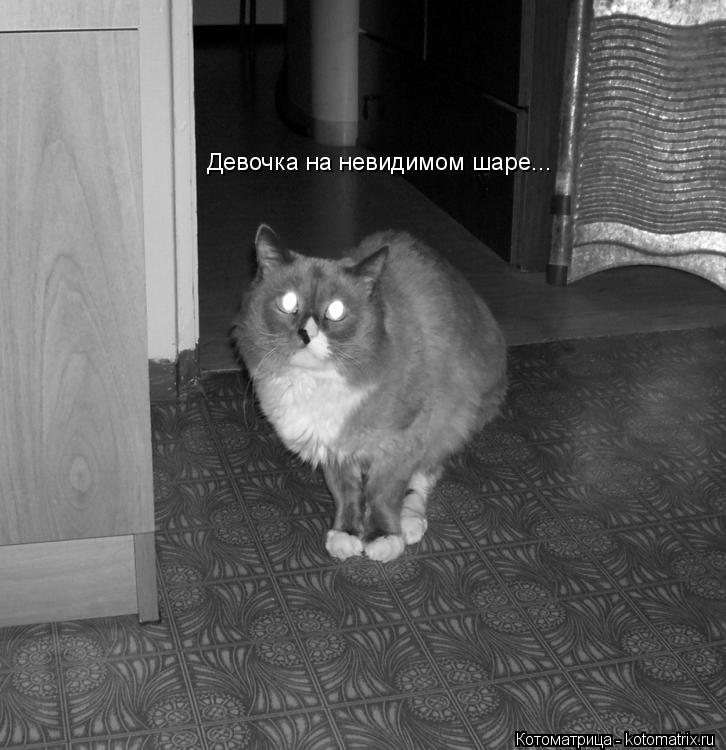 Котоматрица: Девочка на невидимом шаре...