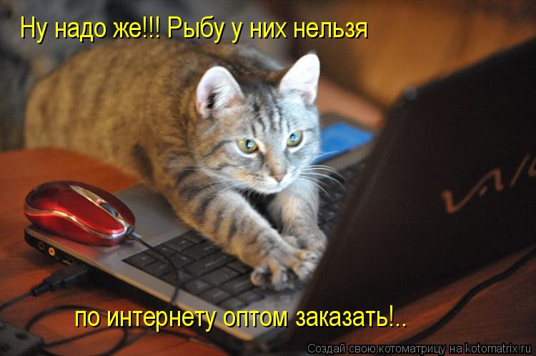 Котоматрица: Ну надо же!!! Рыбу у них нельзя по интернету оптом заказать!..