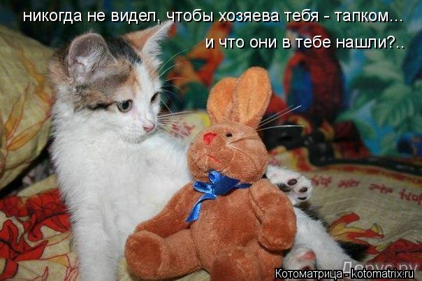 никогда не видел, чтобы хозяева тебя - тапком... и что они в тебе нашли?..... Котоматрица: никогда не видел, чтобы хозяева тебя - тапком... и что они в тебе нашли?..