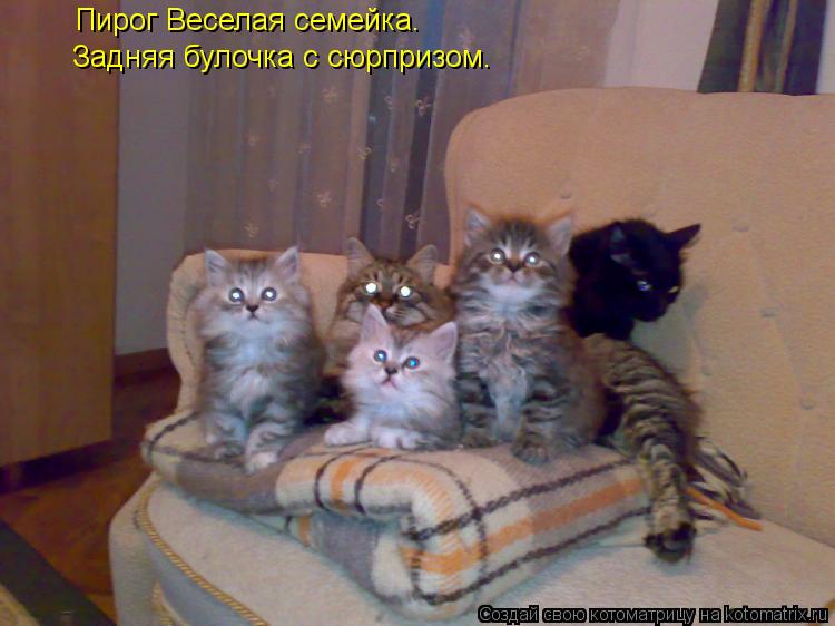 Котоматрица: Пирог Веселая семейка. Задняя булочка с сюрпризом.
