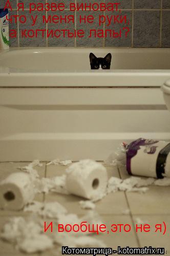 Котоматрица: А я разве виноват, что у меня не руки, а когтистые лапы? И вообще,это не я)
