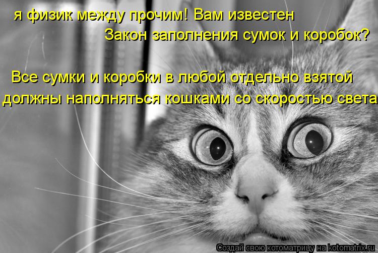 Котоматрица: я физик между прочим! Вам известен Закон заполнения сумок и коробок? Все сумки и коробки в любой отдельно взятой  должны наполняться кошкам