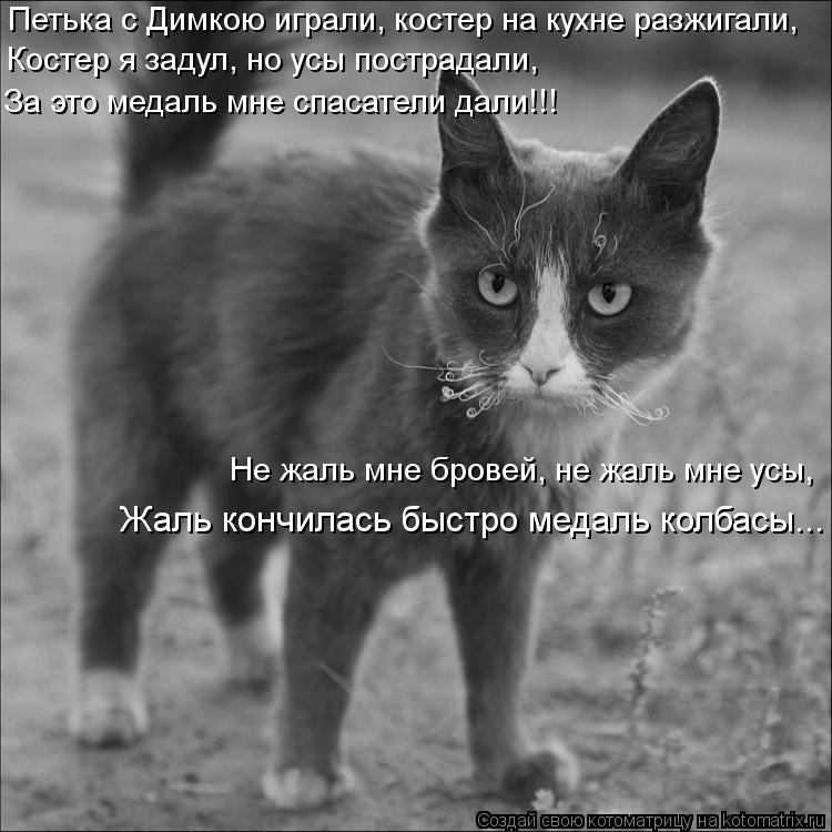 Котоматрица: Петька с Димкою играли, костер на кухне разжигали, Костер я задул, но усы пострадали, За это медаль мне спасатели дали!!! Не жаль мне бровей, н