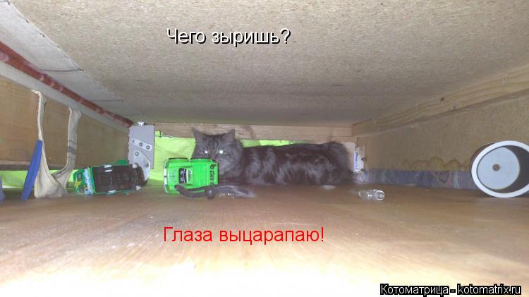 Котоматрица: Чего зыришь? Глаза выцарапаю!