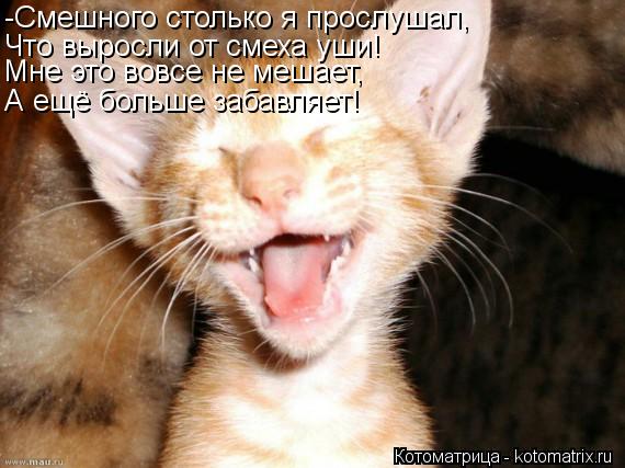 Котоматрица: -Смешного столько я прослушал, Что выросли от смеха уши! Мне это вовсе не мешает, А ещё больше забавляет!