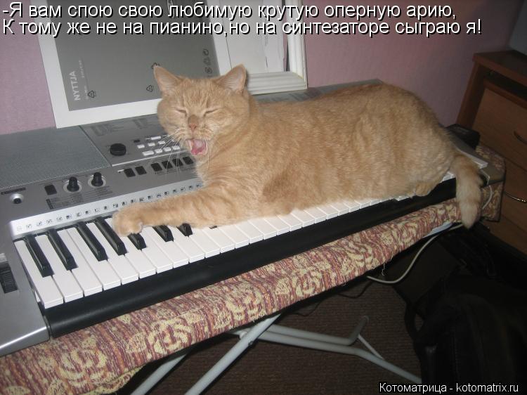 Котоматрица: -Я вам спою свою любимую крутую оперную арию, К тому же не на пианино,но на синтезаторе сыграю я!