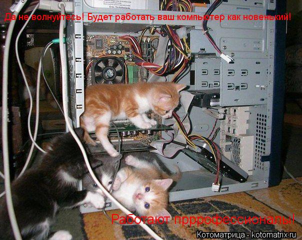 Котоматрица: Да не волнуйтесь! Будет работать ваш компьютер как новенький! Работают прррофессионалы!