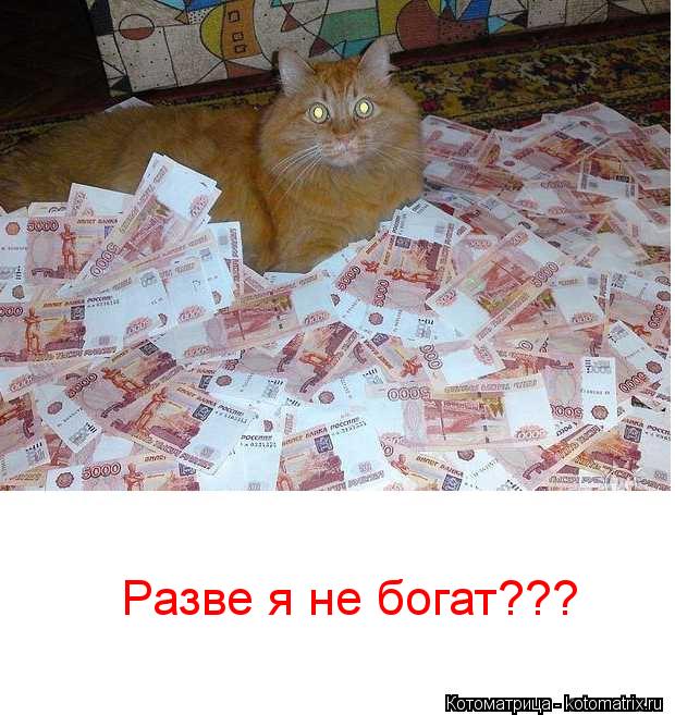 Котоматрица: Разве я не богат???