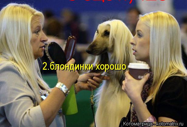 Котоматрица: 2.блондинки хорошо  3 еще лучше