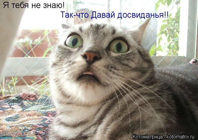 Котоматрица: Я тебя не знаю!  Так-что Давай досвиданья!!