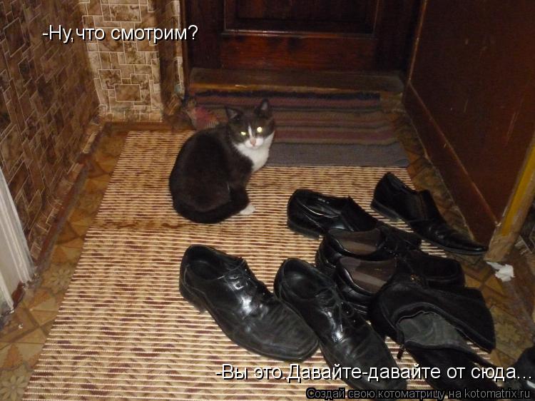 Котоматрица: -Ну,что смотрим? -Вы это.Давайте-давайте от сюда...