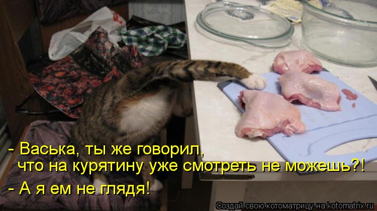 Котоматрица: - Васька, ты же говорил,  что на курятину уже смотреть не можешь?! - А я ем не глядя!