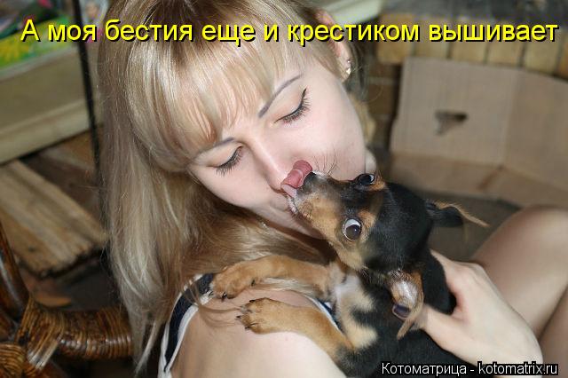 Котоматрица: А моя бестия еще и крестиком вышивает