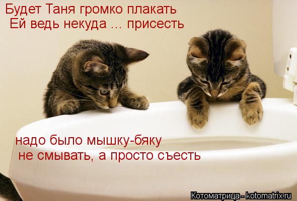 Котоматрица: Будет Таня громко плакать  Ей ведь некуда ... присесть  надо было мышку-бяку не смывать,   надо было мышку-бяку   не смывать, а просто съесть