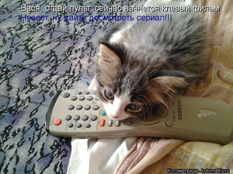 Котоматрица: -Вася, отдай пульт, сейчас начнется клёвый фильм -Неееет, ну дайте досмотреть сериал!!!
