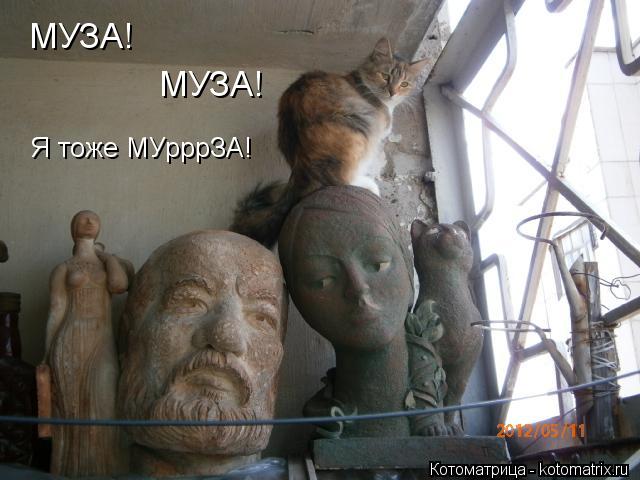 Котоматрица: МУЗА!  МУЗА!  Я тоже МУрррЗА!