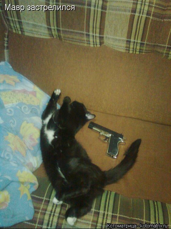 Мавр застрелился... Котоматрица: Мавр застрелился