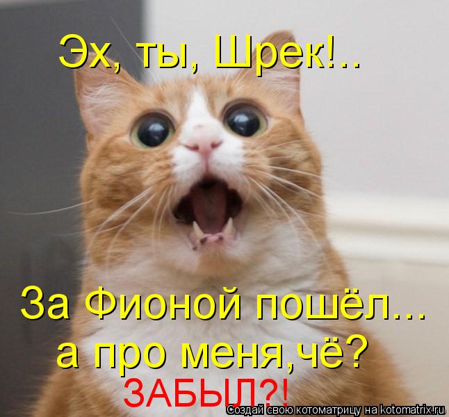 Котоматрица: Эх, ты, Шрек!.. За Фионой пошёл... а про меня,чё? ЗАБЫЛ?!