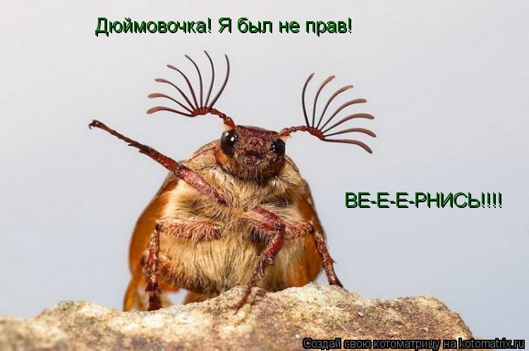 Котоматрица: Дюймовочка! Я был не прав! ВЕ-Е-Е-РНИСЬ!!!!