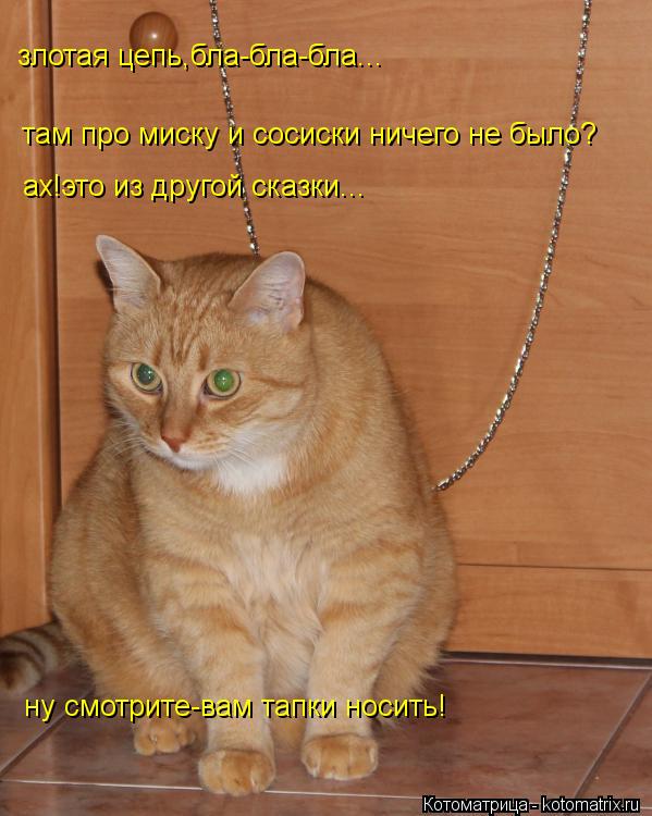 Котоматрица: злотая цепь,бла-бла-бла... там про миску и сосиски ничего не было? ах!это из другой сказки... ну смотрите-вам тапки носить!