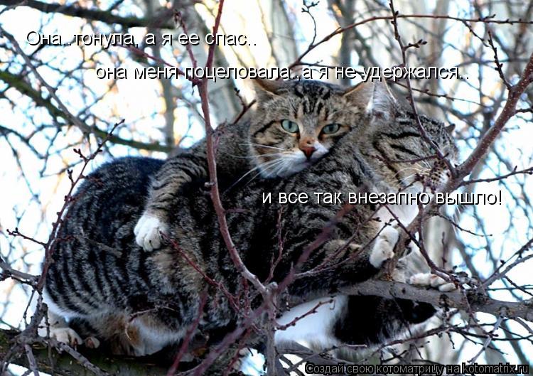 Котоматрица: Она..тонула, а я ее спас.. она меня поцеловала.,а я не удержался.. и все так внезапно вышло!