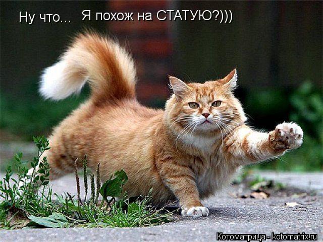 Котоматрица: Ну что... Я похож на СТАТУЮ?)))