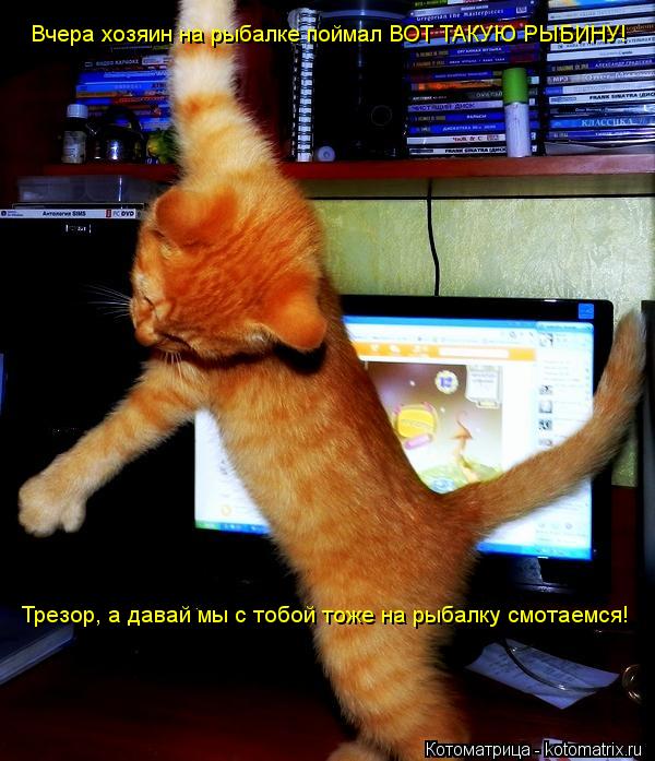 Котоматрица: Вчера хозяин на рыбалке поймал ВОТ ТАКУЮ РЫБИНУ! Трезор, а давай мы с тобой тоже на рыбалку смотаемся!