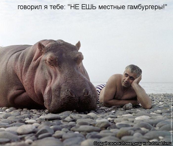 Котоматрица: говорил я тебе: "НЕ ЕШЬ местные гамбургеры!"