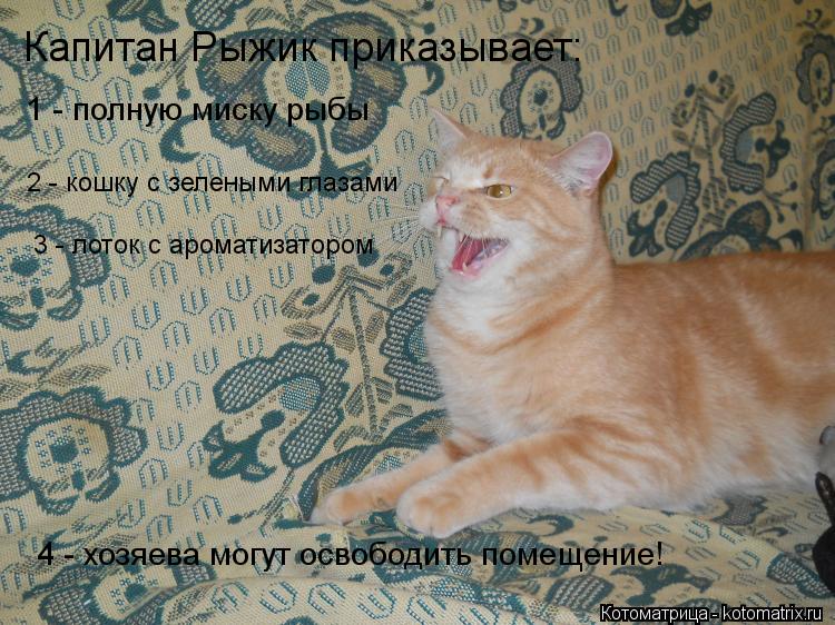 Котоматрица: Капитан Рыжик приказывает: 1 - полную миску рыбы 2 - кошку с зелеными глазами 3 - лоток с ароматизатором 4 - хозяева могут освободить помещение!