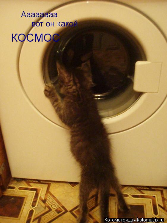 Котоматрица: Аааааааа  вот он какой   КОСМОС