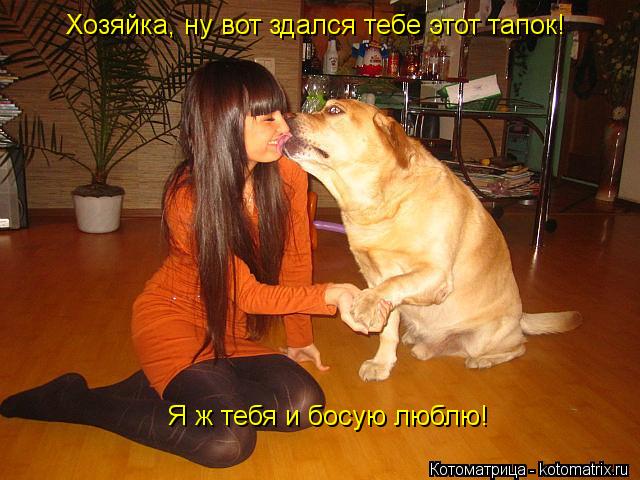 Котоматрица: Хозяйка, ну вот здался тебе этот тапок! Я ж тебя и босую люблю!