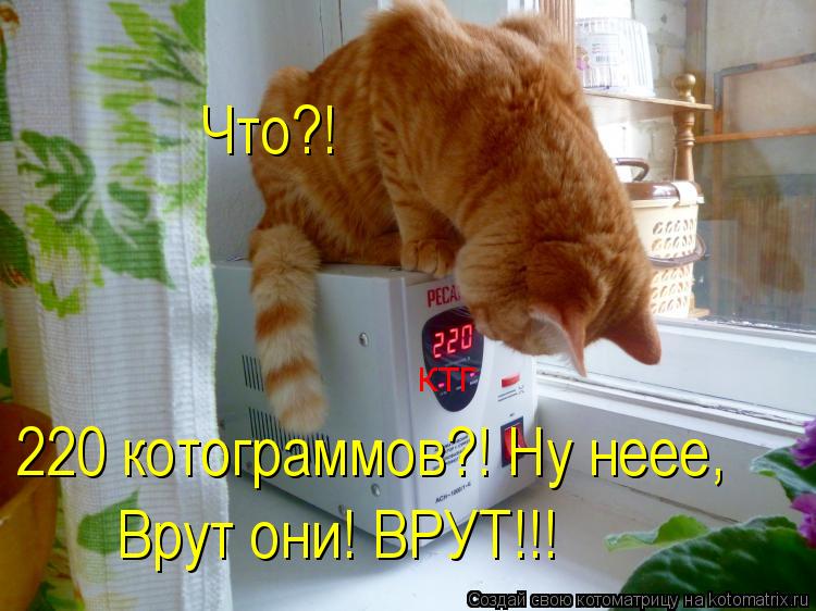 Котоматрица: Что?! 220 котограммов?! Ну неее, Врут они! ВРУТ!!! КТГ