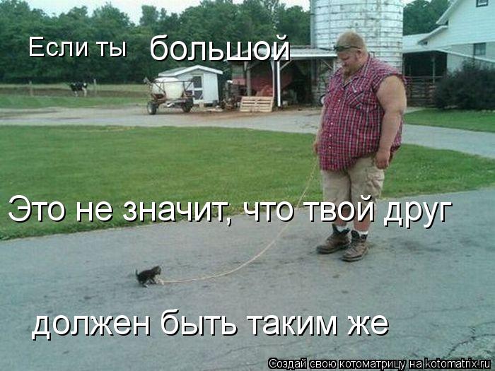 Котоматрица: Если ты  Это не значит, что твой друг большой должен быть таким же