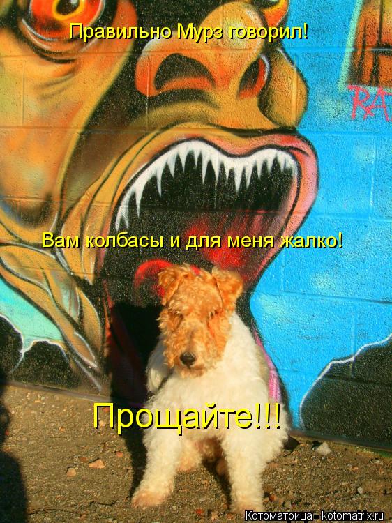 Котоматрица: Правильно Мурз говорил!  Вам колбасы и для меня жалко! Прощайте!!!