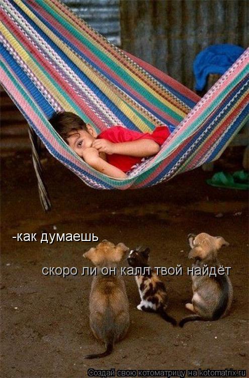 -как думаешь скоро ли он калл твой найдёт... Котоматрица: -как думаешь скоро ли он калл твой найдёт